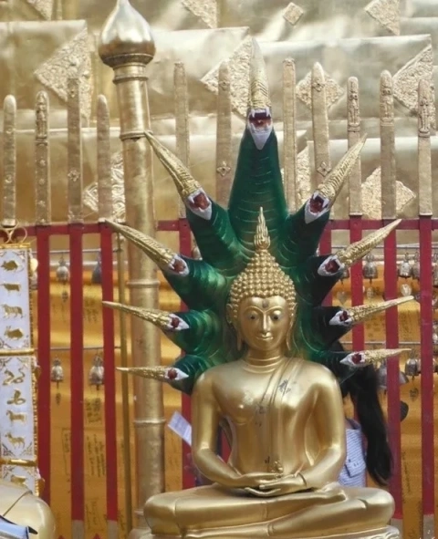 CMLocals Chiang Mai Locals Legal Rights official recourse assistance procedures